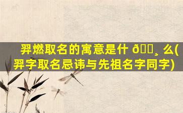 羿燃取名的寓意是什 🕸 么(羿字取名忌讳与先祖名字同字)
